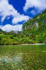 The Pororari River, Paparoa National Park, Punakaiki, New Zealand Art Print